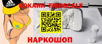 мдпв Камышлов