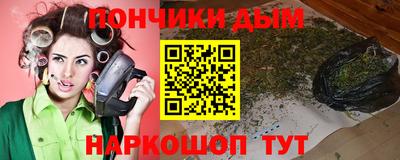 мдпв Камышлов