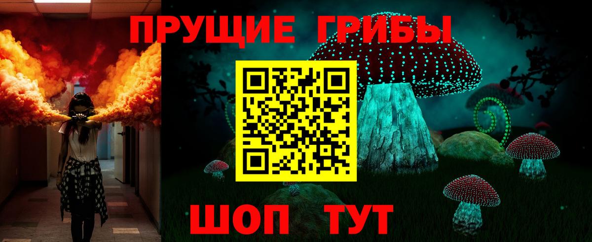 Псилоцибиновые грибы Cubensis Аксай