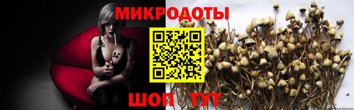 купить наркотики цена  Псилоцибиновые грибы прущие грибы  Вход с VPN  Псилоцибиновые грибы мицелий  Аксай 